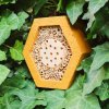Hmyzí domček BNB Box HDO-1 Mini Gold, drevobetón a trstina