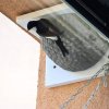 Bird nest BNB Box APZ-1/1PL for house martins, left with a base.