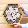 Insect hotel BNB Box Maxi Gold