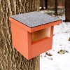 Half-nesting box for birds BAT-MAN Phoeni suitable for black redstarts, made of wood with a painted finish