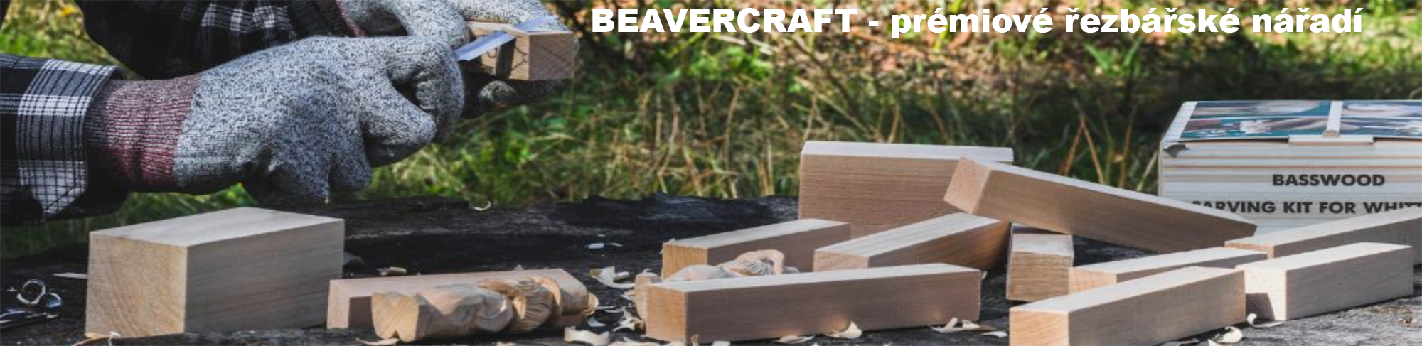 Beavercraft