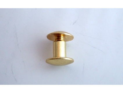Chicago rivets Brass -7 mm/10