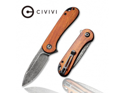 C907DS 2 500x