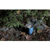 Kupilka cup K30 M fall 1 web 1 600x374