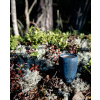 Kupilka Cup K30 M fall pysty2 web 1 600x743