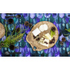 Kupilka eco dishware Kaarna 2 web