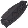 rao C black 1