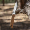 BPS Knives HK1 Carbon Steel 11
