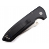 Pro-tech Rockeye Auto Solid Black LG301