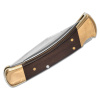 Buck 110 Folding Hunter