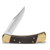 Buck 110 Folding Hunter