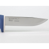 Morakniv Risberg Blueberries (S) 14721