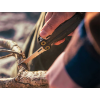 Leatherman Wave Alpha