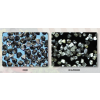 Diamond Premium Bronze 100 grit