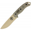 Esee Model 5 Survival