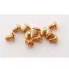 Gold plated button screws 3,6 mm M2 x10