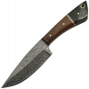 Damaškový nôž Damascus Skinner Walnut Horn DM1123HN