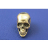Bead Anatomical Skull