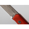 b41 g10 orange2