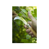 2021 23 03 08 21 49 1024 768 12 1616156008gardening arnaud childeric kalice 13 vlastni