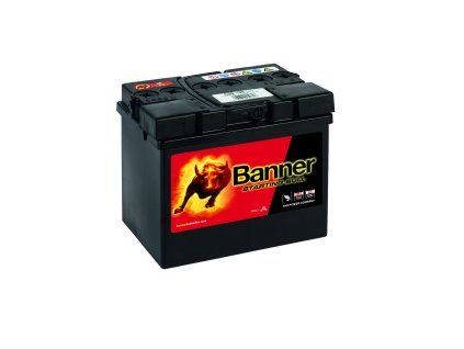 Starting Bull 53030 12V  30Ah