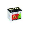 Garden BULL 12N24-3 12V  24Ah