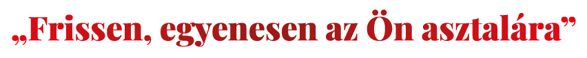 Frissen, egyenesen az Ön asztalára