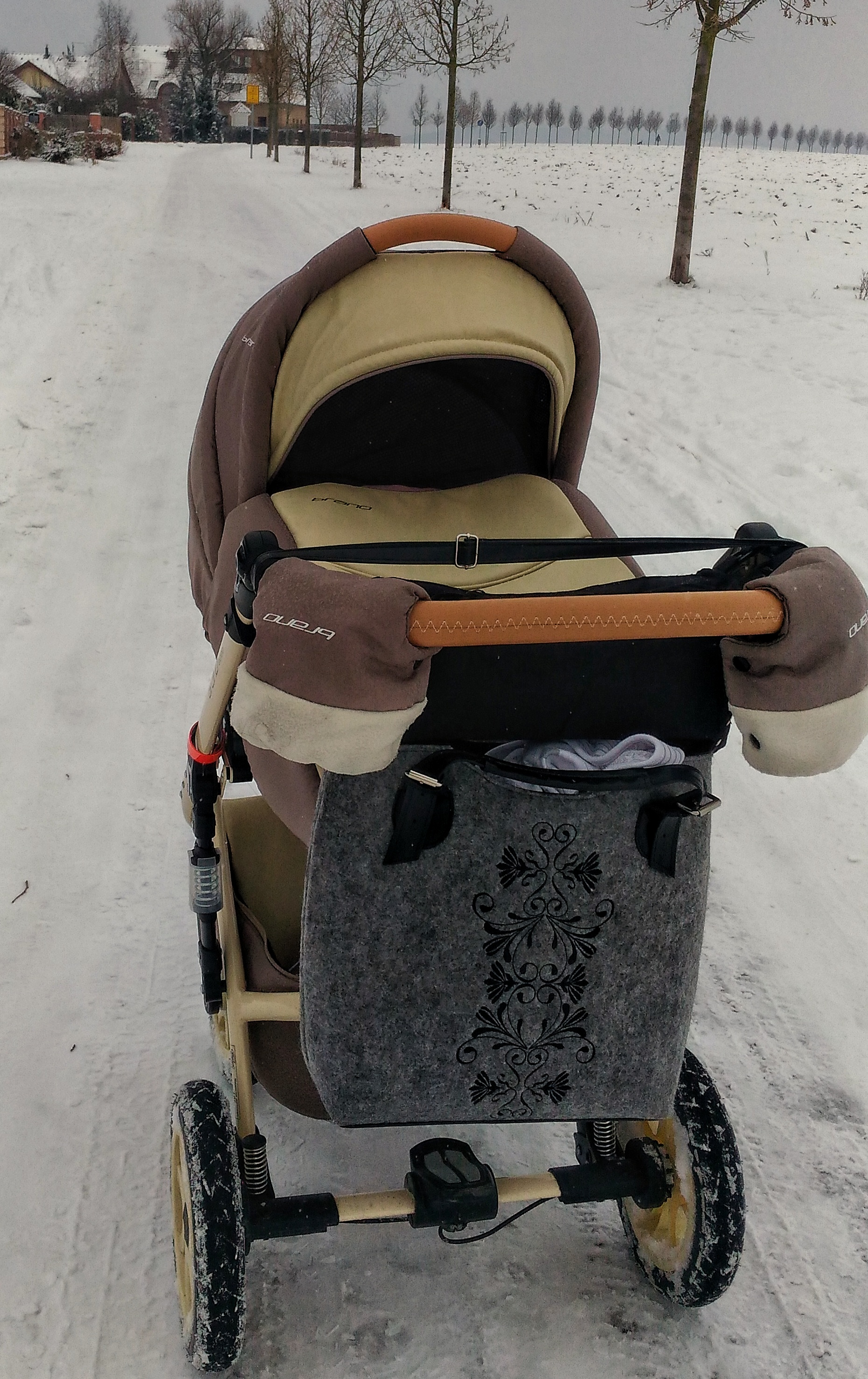 P_20170109_130447-01