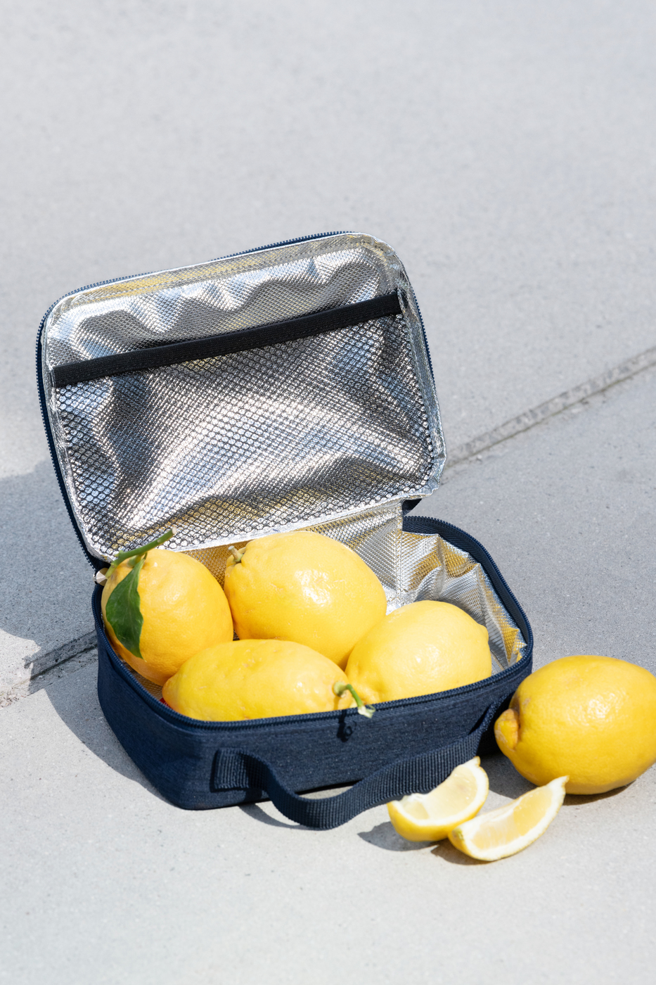 OY4129_thermocase_twist-navy_reisenthel_PE_01