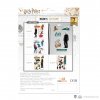 Harry Potter Sada 6 kusov magnetiek SLYTHERIN (Slizolin)  Harry Potter - MAP5023