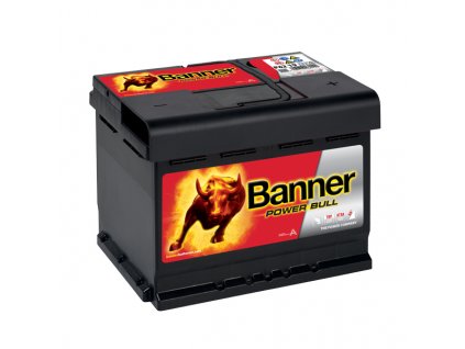 Banner power bull P62 19