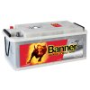 Banner buffalo bull SHD 670 33 2