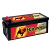 Banner buffalo bull SHD PRO 725 03 2