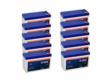 Goowei Energy UPS 2025 OT7 2 12 F2 10x