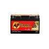 BIKE BULL AGM PLUS 50601 BGT7B 4 2