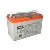 DEEP CYCLE (GEL) baterie GOOWEI ENERGY OTD100, 100Ah, 12V