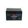 Voltium Energy LiFePO4 smart baterie VE-SPBT-1212, 12.8V, 12Ah