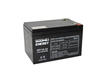 GOOWEI ENERGY OT12-12, 12Ah, 12V