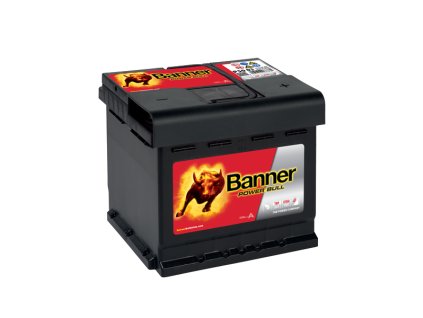 Banner power bull P50 03