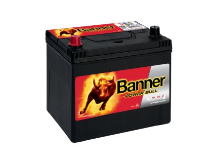 Banner power bull P60 69