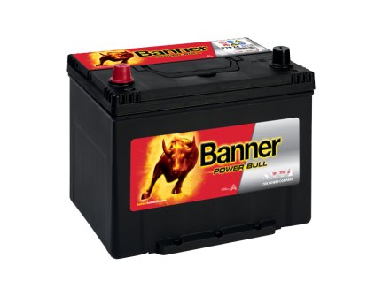 Banner power bull P70 24