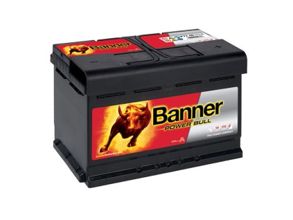 Banner power bull P77 40