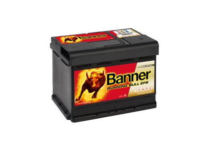 Banner running bull EFB 560 11n