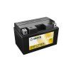 VARTA Powersports AGM TZ10S 4 508901015 TZ10S BS