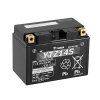 yuasa ytz14s 11 8Ahn