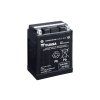 yuasa ytx14ah bs