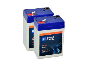 Goowei Energy UPS 2025 OT4 5 6 2x