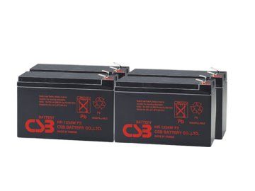 CSB RBC24
