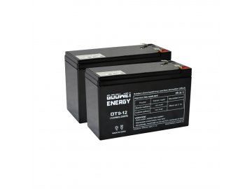 Batérie pre UPS (2x Goowei Energy OT9-12)
