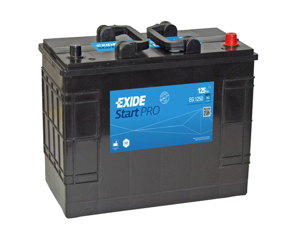 Exide Professional 12V 125Ah 640A EG1250